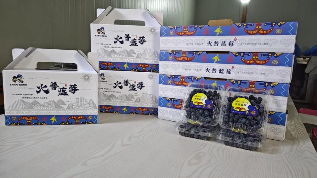 昭觉帮扶20年·工业篇丨点燃“山峰之巅”的幸；；；鹬-6686体育