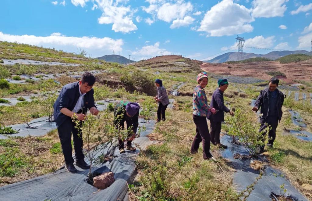 昭觉帮扶20年·工业篇丨点燃“山峰之巅”的幸；；；鹬-6686体育